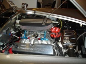 Shelby Cobra Coupe Engine.JPG